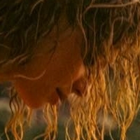 Beyondthepines Nude