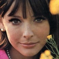 Brenda Scott Nude
