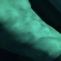 Dariadoubleday Nude