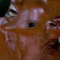 Gina Varela Nude