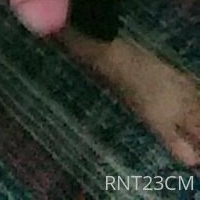 rnt23cm Nude